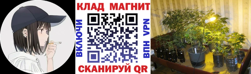 Купить наркотик аптеки Коломна Бошки Шишки МЕТАМФЕТАМИН МЕФ