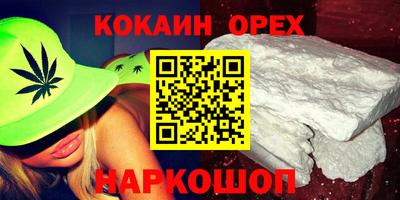 индика Гусев