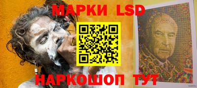индика Гусев
