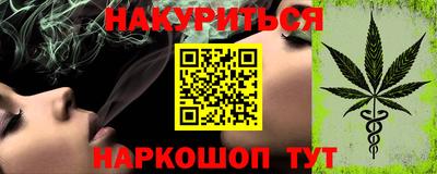 крисы Абакан