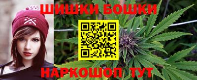 индика Гусев