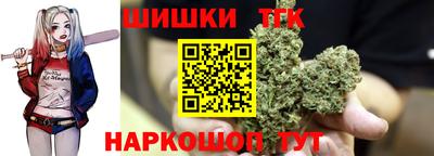индика Гусев