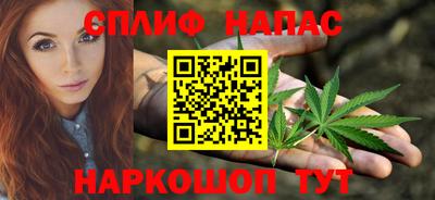 индика Гусев
