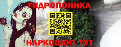 индика Гусев