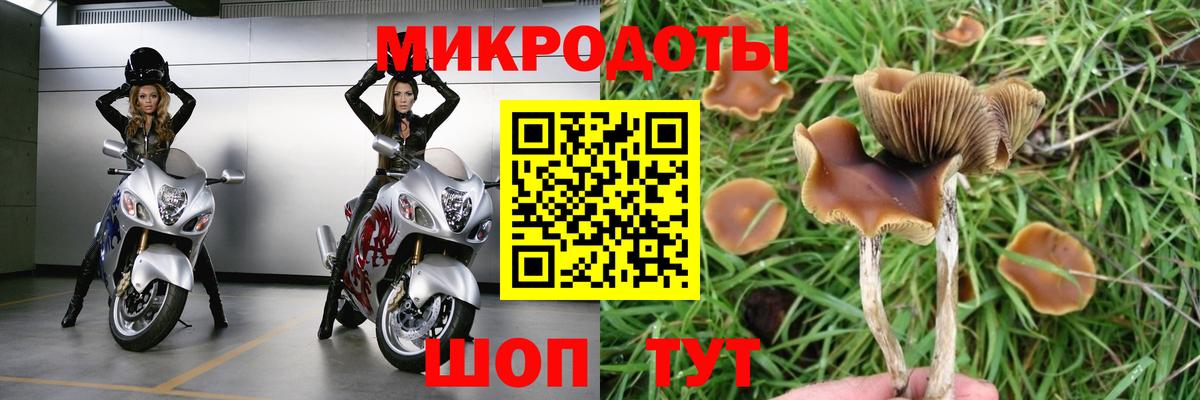 наркота  Вход с VPN  Коломна  Псилоцибиновые грибы мухоморы 
